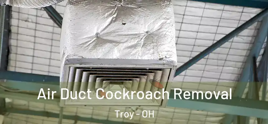  Air Duct Cockroach Removal Troy - OH