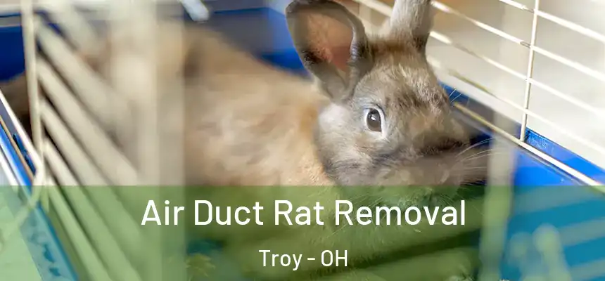 Air Duct Rat Removal Troy - OH