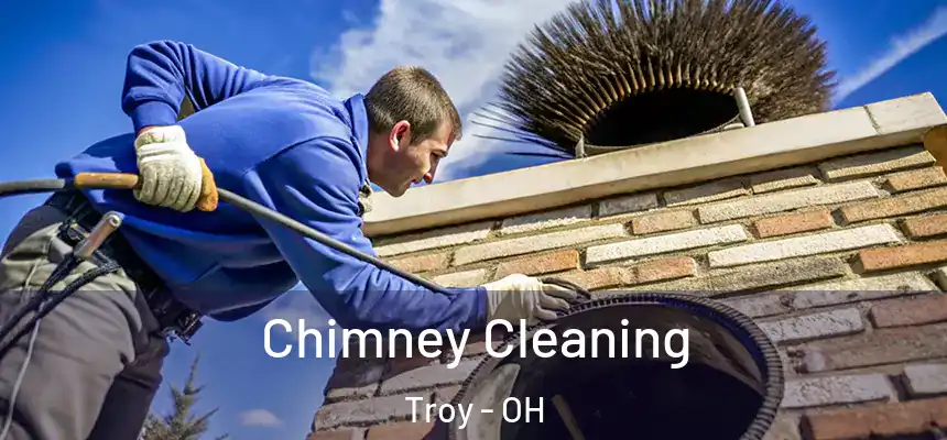 Chimney Cleaning Troy - OH