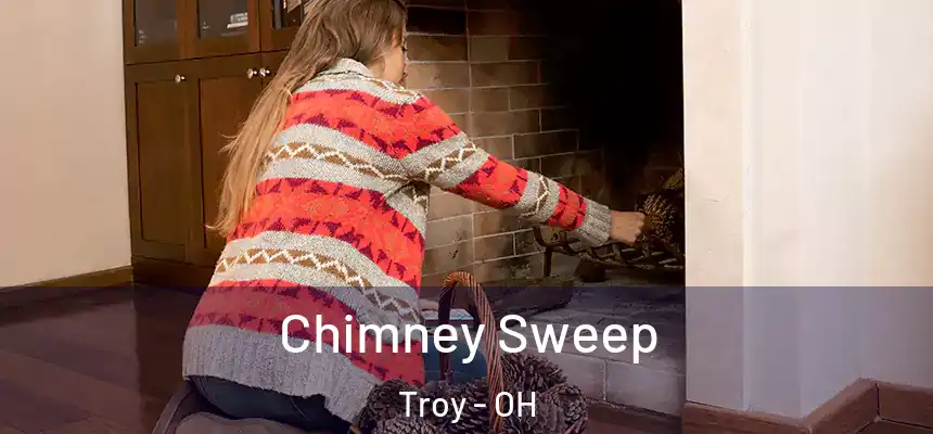 Chimney Sweep Troy - OH
