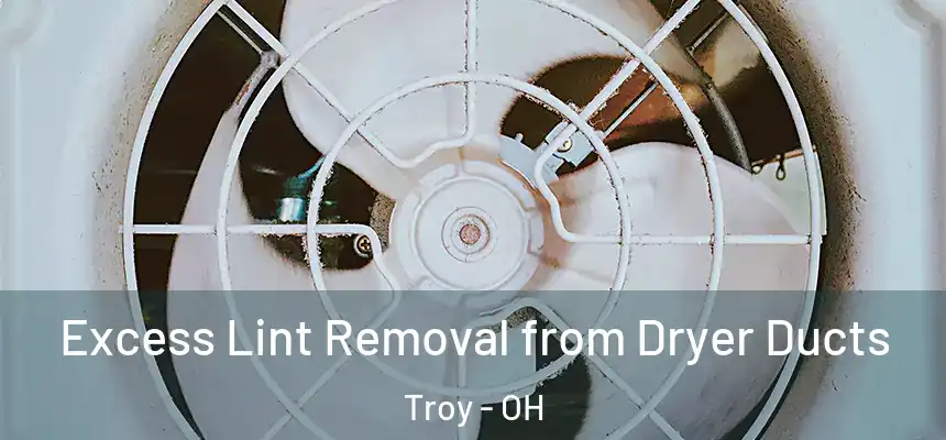  Excess Lint Removal from Dryer Ducts Troy - OH