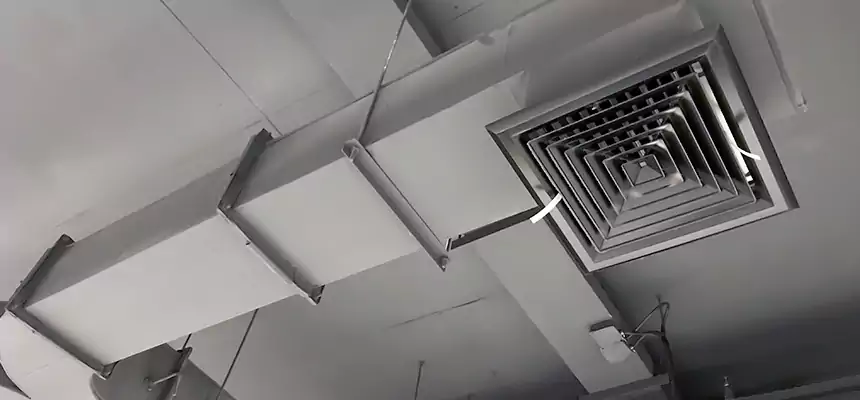 Restorative Allergy Relief Vent Cleaning – Coil, Blower & Housing Detail in Troy