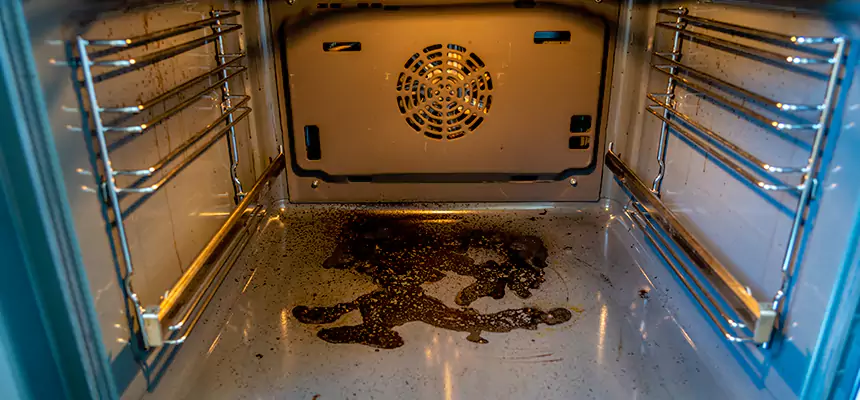 Our Dryer Vent Mold Cleaning Services in Troy, OH