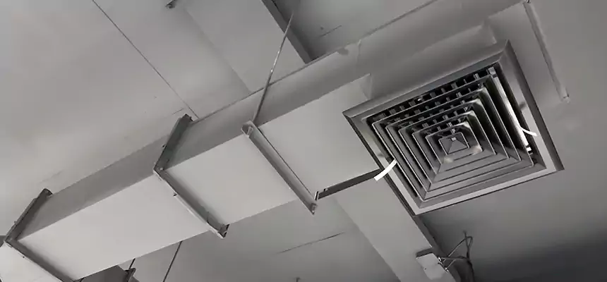 Our Rodent Droppings In Vents Services in Troy, OH