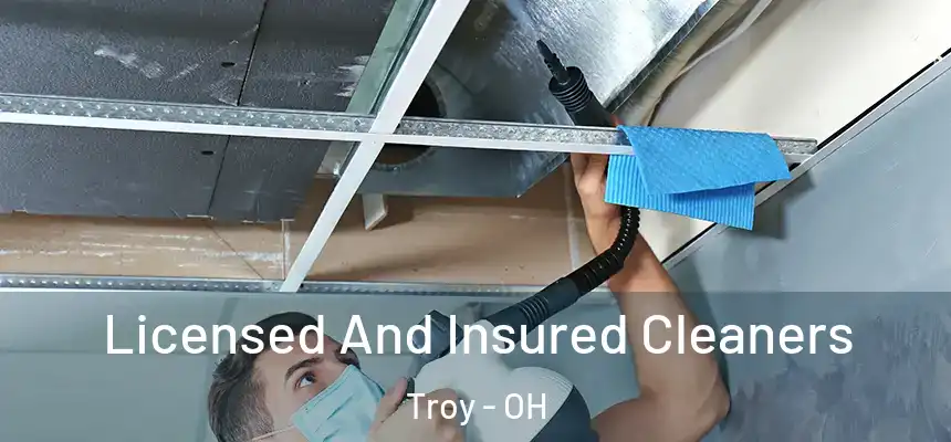 Licensed And Insured Cleaners Troy - OH