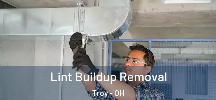 Lint Buildup Removal Troy - OH