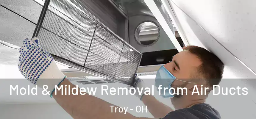 Mold & Mildew Removal from Air Ducts Troy - OH