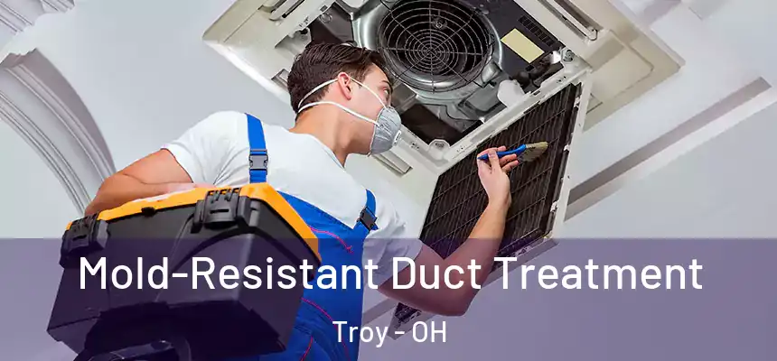 Mold-Resistant Duct Treatment Troy - OH
