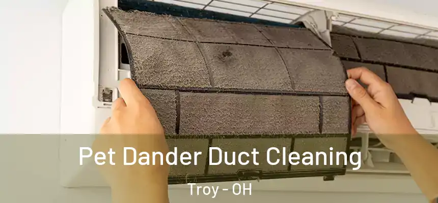  Pet Dander Duct Cleaning Troy - OH