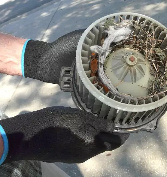 About Air Duct Mice Removal in Troy, OH