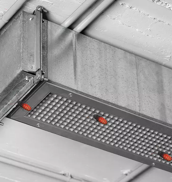 Affordable Insect Removal from Air Ducts in Troy, OH